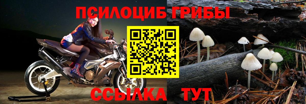 Выкса  Галлюциногенные грибы мухоморы  Вход с VPN 